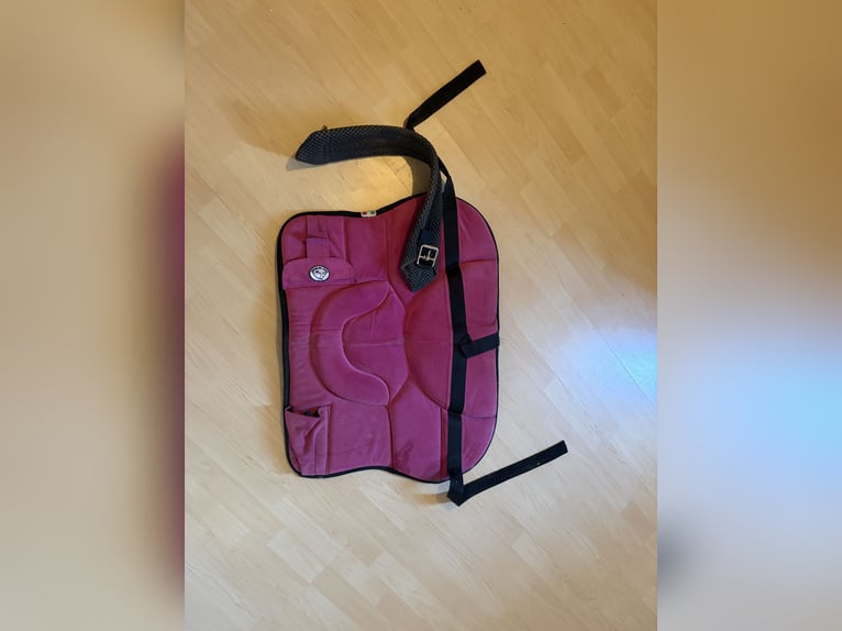 Reitpad pink