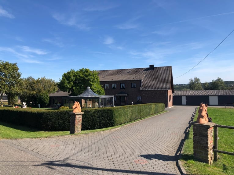 Rentnerplätze für Pferde
