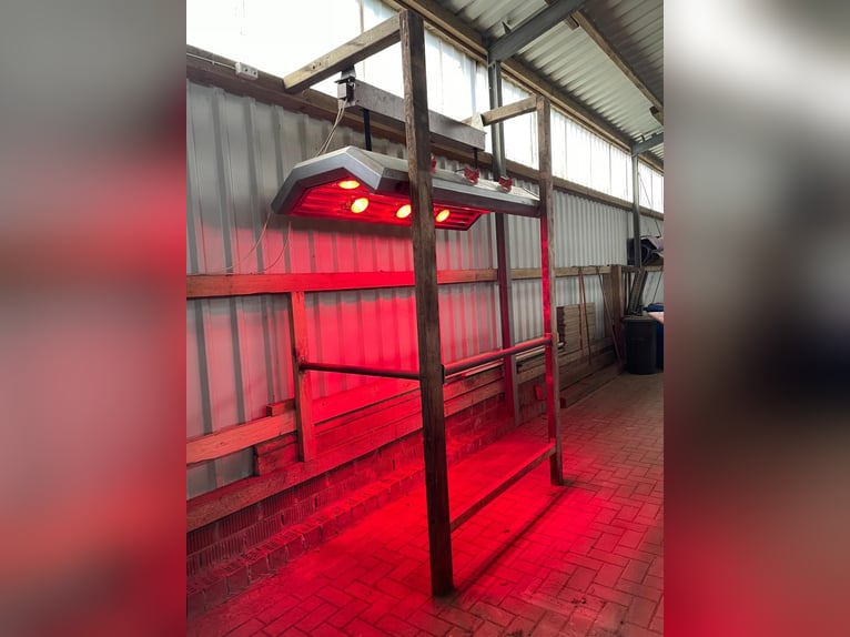 Solarium höhenverstellbar  Solarium höhenverstellbar