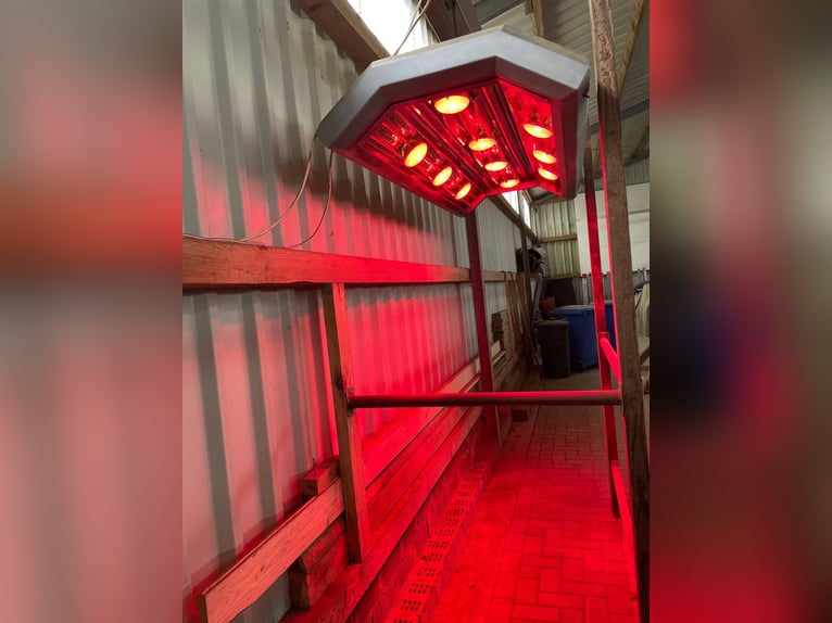 Solarium höhenverstellbar  Solarium höhenverstellbar