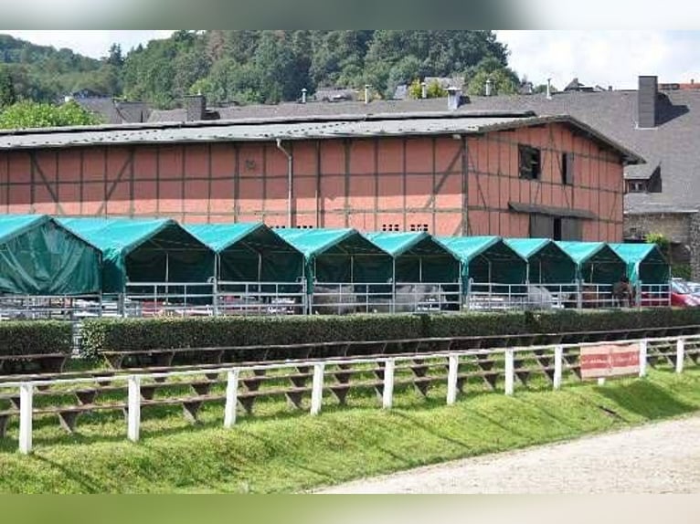 Stall, Weide-Zelt-Unterstand