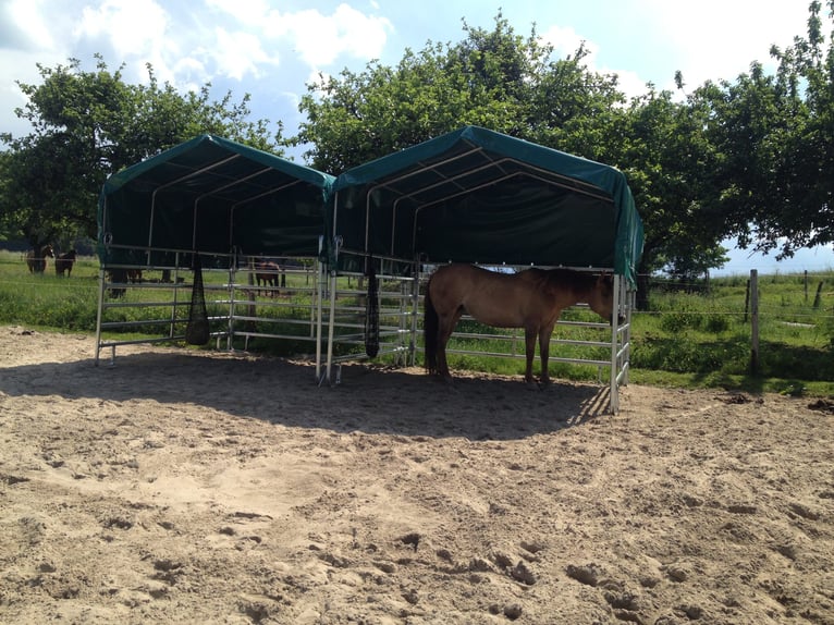 Stall, Weide-Zelt-Unterstand