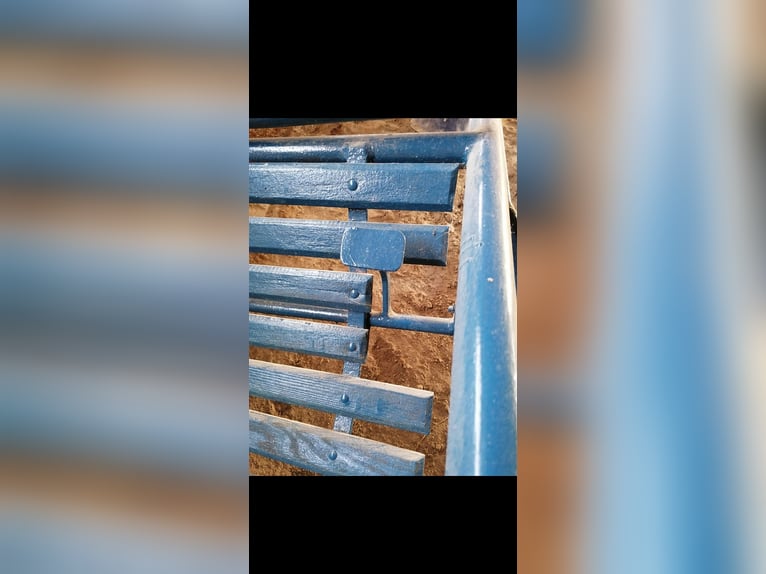 Sulky stabile ältere Ausführung