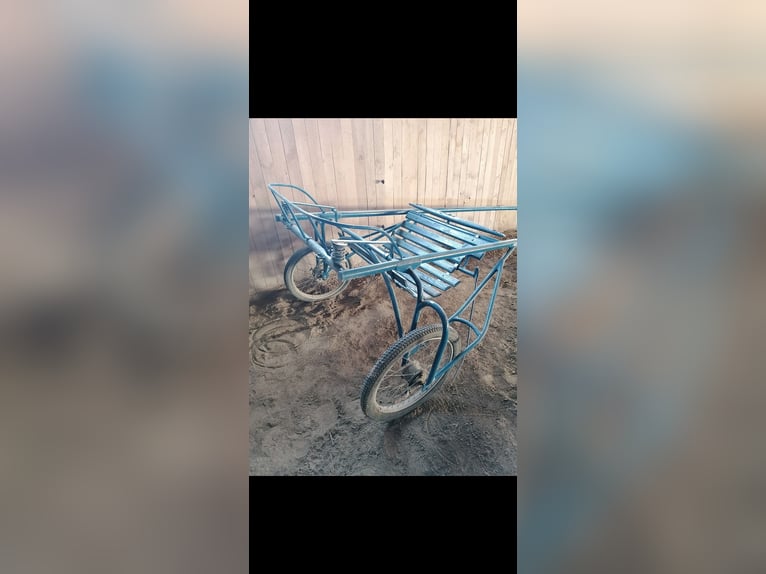 Sulky stabile ältere Ausführung