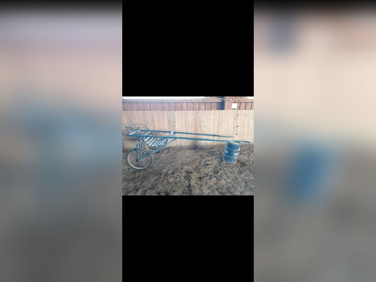 Sulky stabile ältere Ausführung