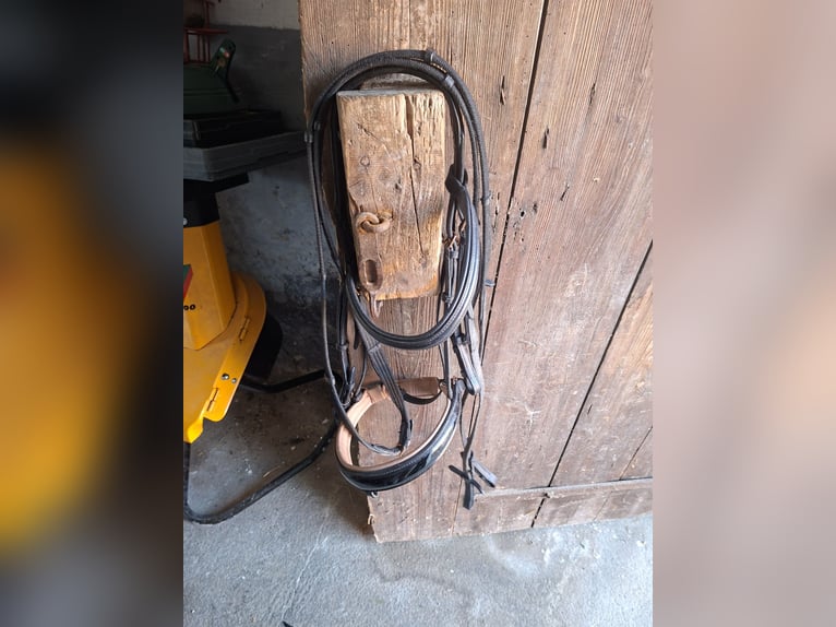 Verkaufe eine gebrauchte Trense aus schwarzem Leder mit Zügeln
