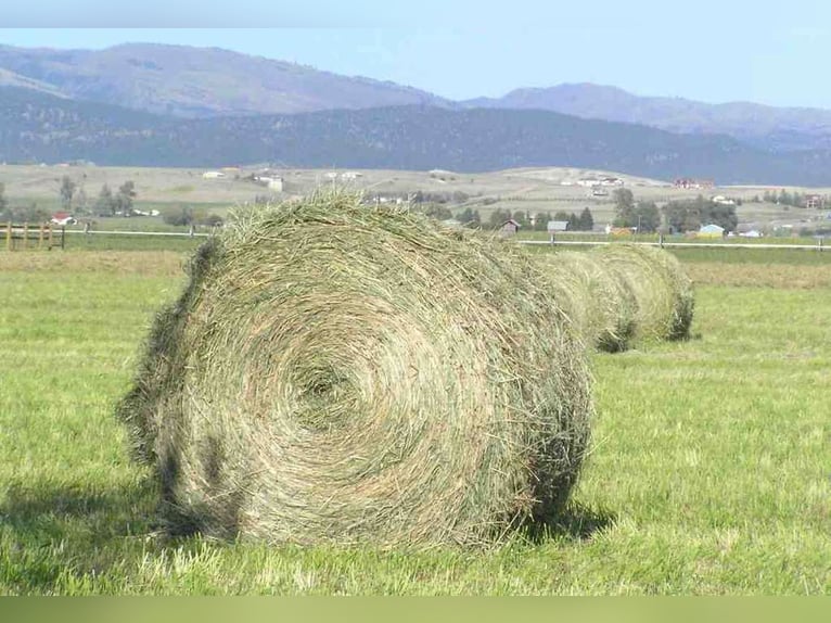 Verkaufen BIO  Heuballen