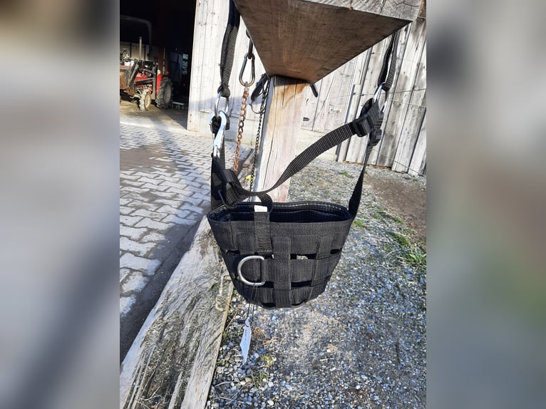 Weidemaulkorb Weidemaulkorb