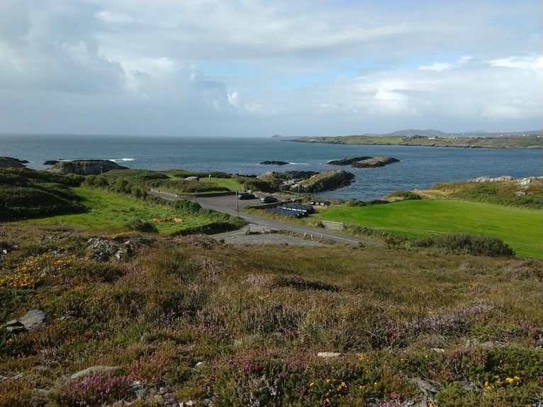 Weiden in Irland  für Pferdehaltung - zuzüglich Haus zu vermieten