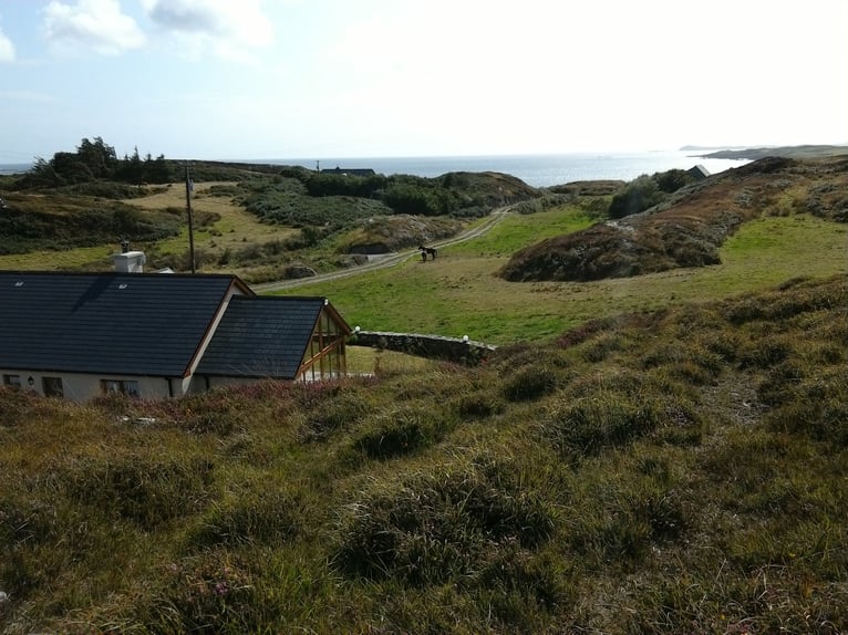 Weiden in Irland  für Pferdehaltung - zuzüglich Haus zu vermieten