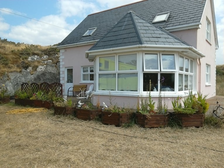 Weiden in Irland  für Pferdehaltung - zuzüglich Haus zu vermieten