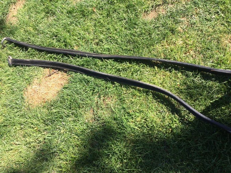 Zilco Geschirr Cob 