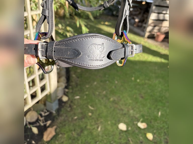 Barefoot, Modell: Contour Physio (Kopfstück) + Flower (Hackamore-Anzüge)