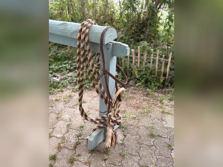 Bosal für Kleinpferde