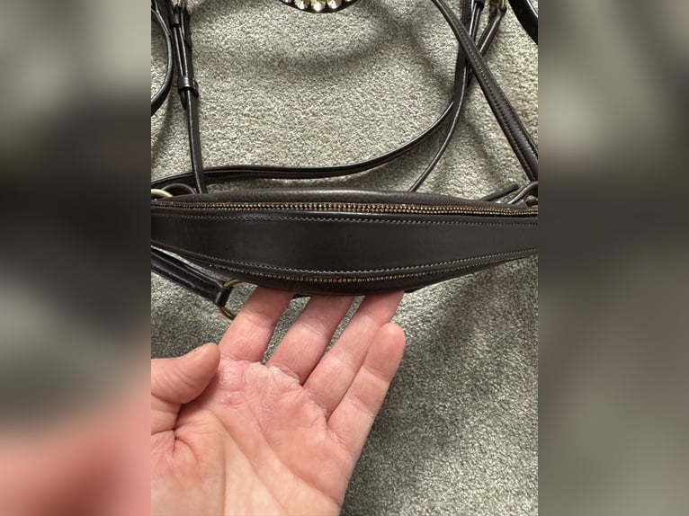 Gebisslose Trense einmal benutzt Größe: COB