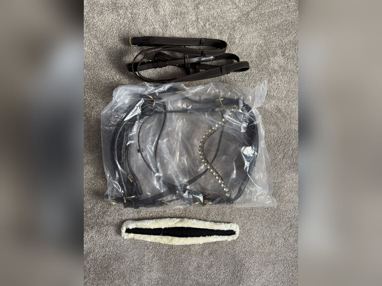 Gebisslose Trense einmal benutzt Größe: COB