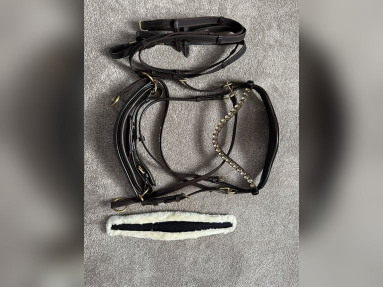 Gebisslose Trense einmal benutzt Größe: COB