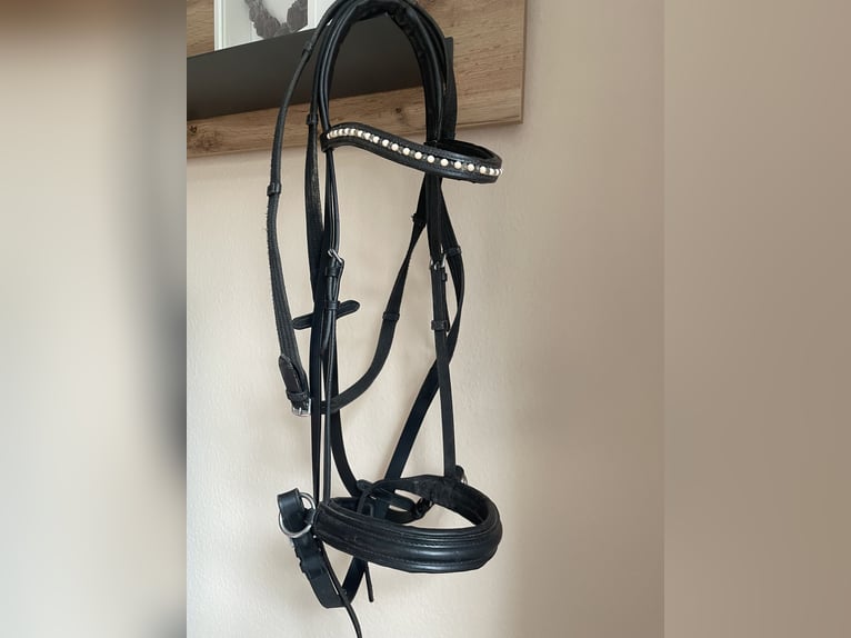 Gebisslosetrense mit Zügel