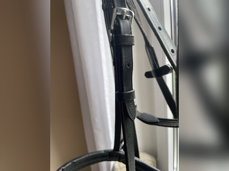 Gebisslosetrense mit Zügel