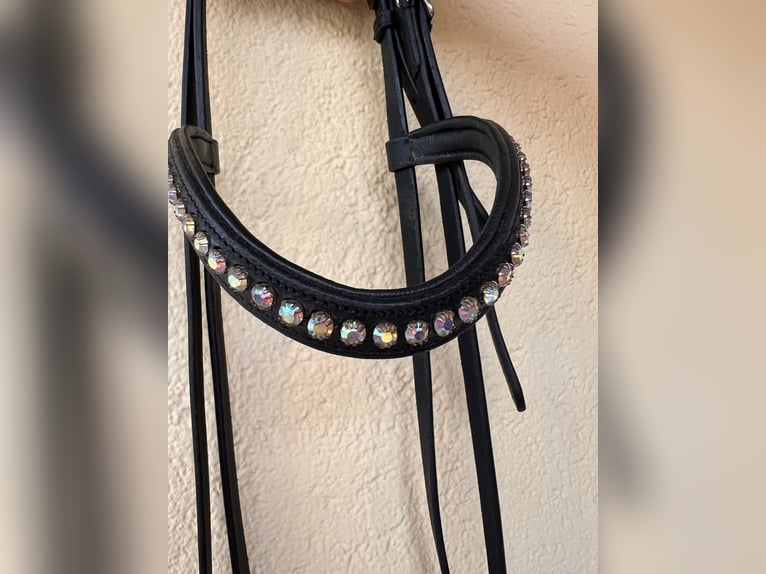 Fjölnir Trense Islandpferd schwarz | Strass | Isländer
