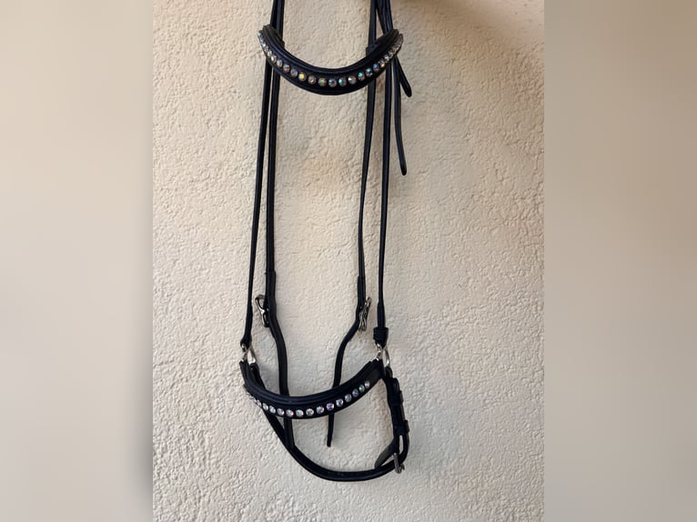 Fjölnir Trense Islandpferd schwarz | Strass | Isländer
