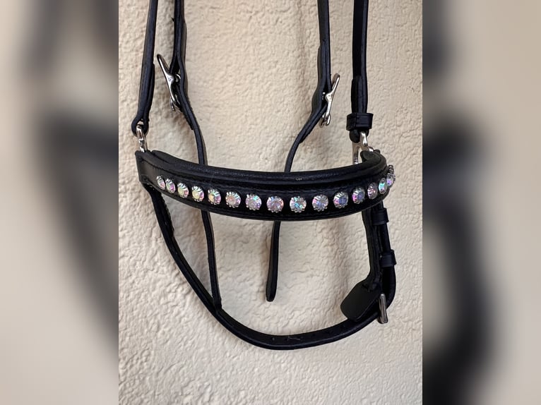 Fjölnir Trense Islandpferd schwarz | Strass | Isländer