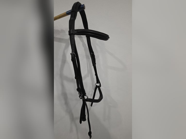 Hannoveranische Trense in der Größe WB von Equest