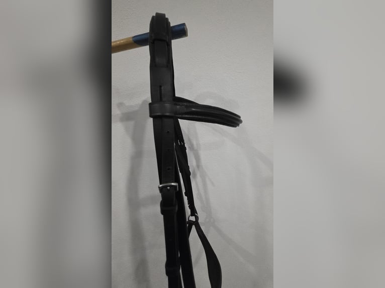 Hannoveranische Trense in der Größe WB von Equest