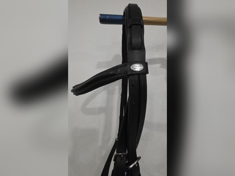 Hannoveranische Trense in der Größe WB von Equest