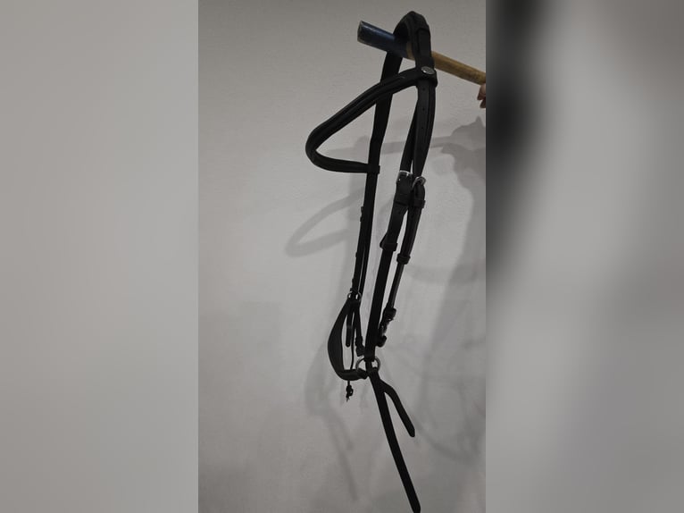 Hannoveranische Trense in der Größe WB von Equest