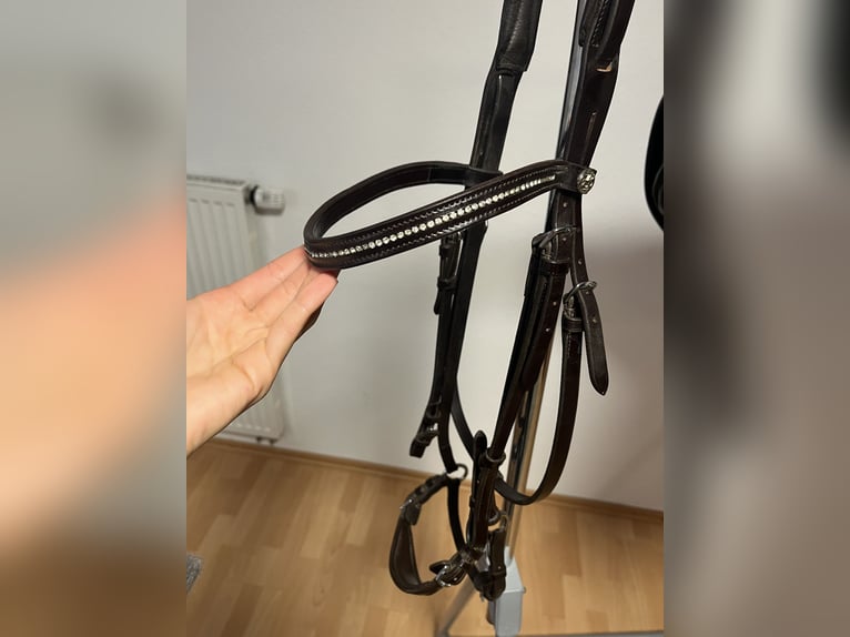 Hannoveranische Trense Schockemöhle