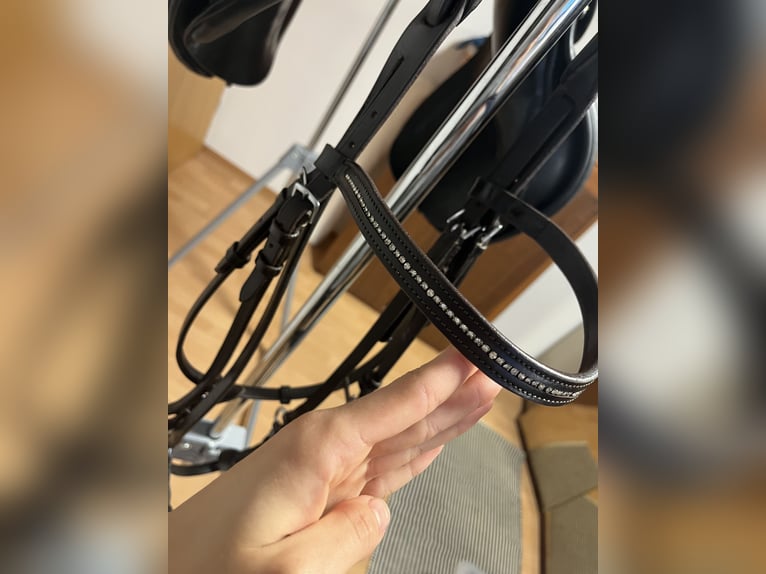 Hannoveranische Trense Schockemöhle