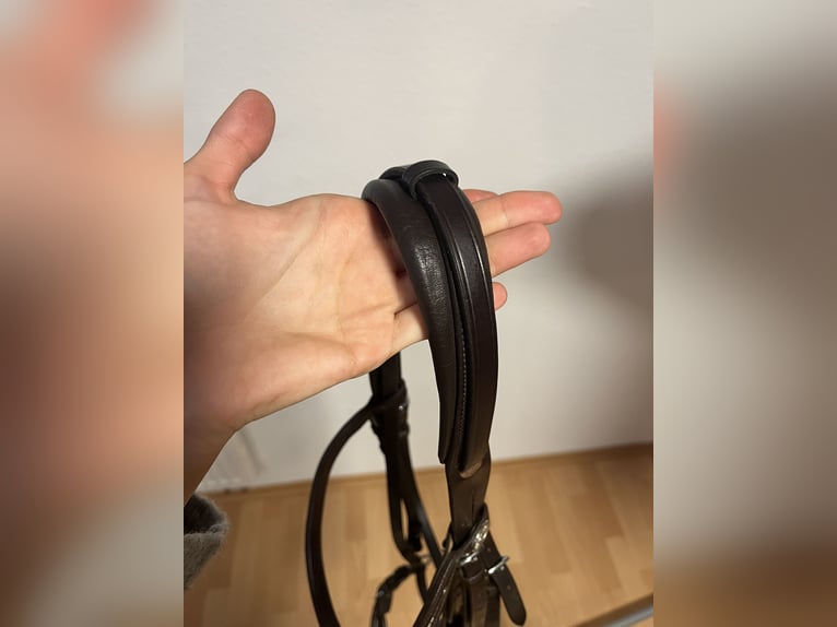 Hannoveranische Trense Schockemöhle