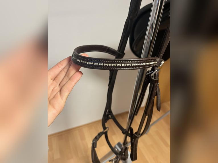 Hannoveranische Trense Schockemöhle