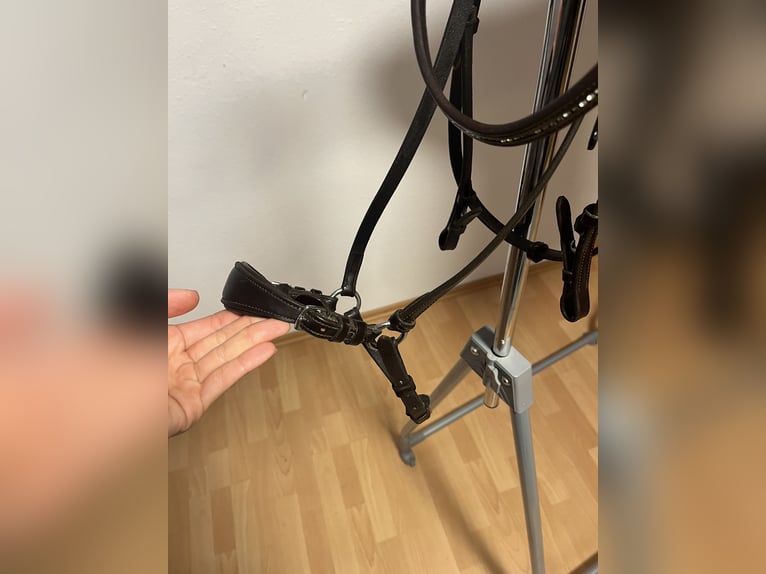 Hannoveranische Trense Schockemöhle