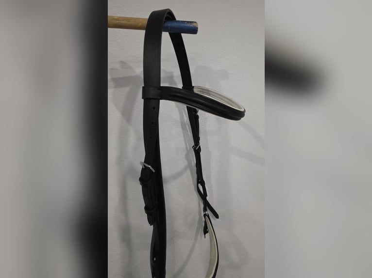 Hannoveranische Trense WB