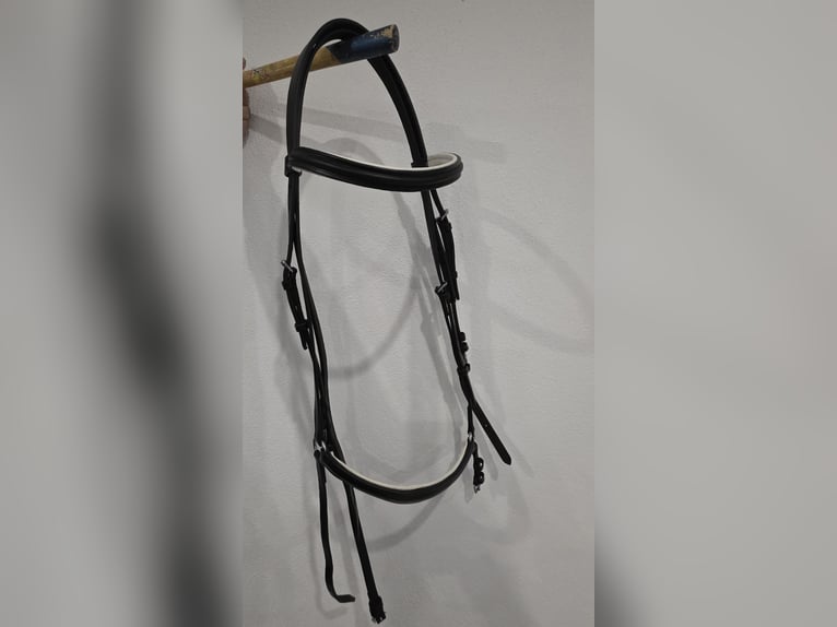 Hannoveranische Trense WB