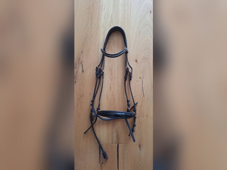 Hannoversche Trense mit Lack und rosegoldenen Schnallen