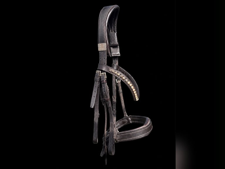 Kandare Fairfax braun mit Swarovski Stirnband in Größe VB