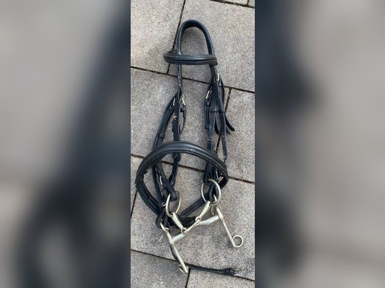 Kandare schwarzes Leder