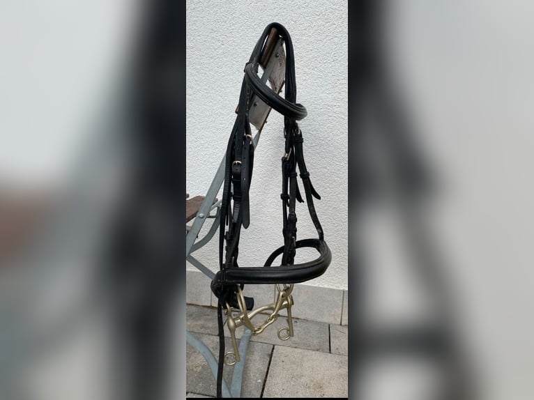 Kandare schwarzes Leder