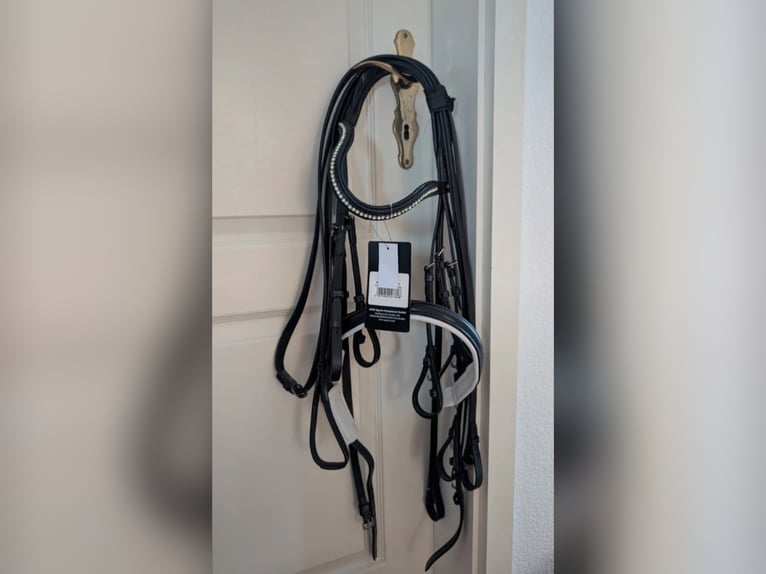 Kandarenzaum HKM neu