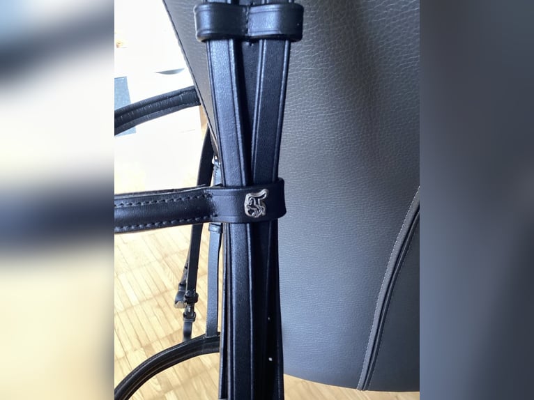 Kandarenzaum, WB, mit Gebissen Kieffer,Sprenger