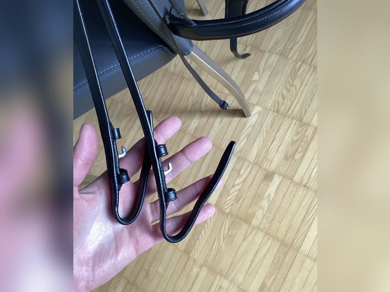 Kandarenzaum, WB, mit Gebissen Kieffer,Sprenger