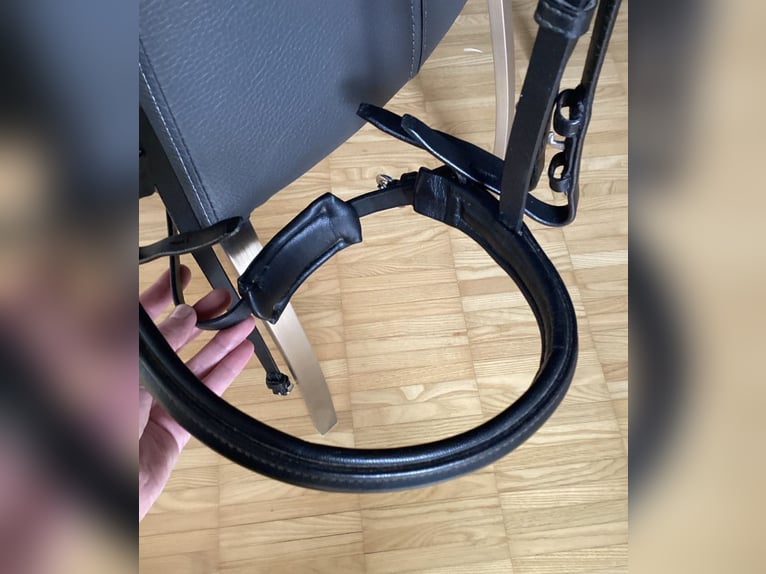 Kandarenzaum, WB, mit Gebissen Kieffer,Sprenger