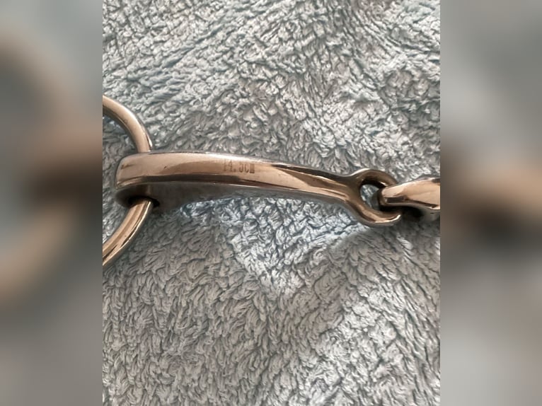 Kandarenzaum, WB, mit Gebissen Kieffer,Sprenger