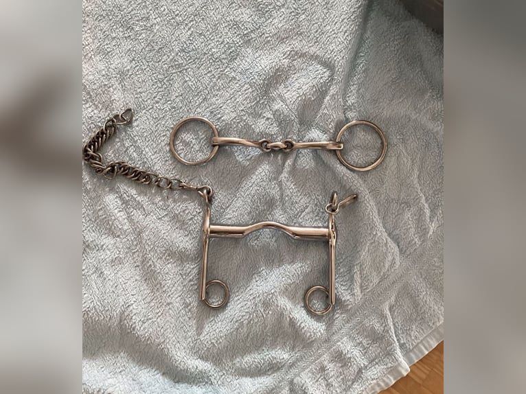 Kandarenzaum, WB, mit Gebissen Kieffer,Sprenger