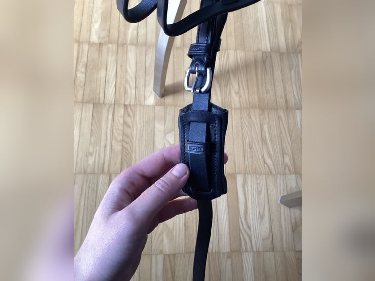 Kandarenzaum, WB, mit Gebissen Kieffer,Sprenger