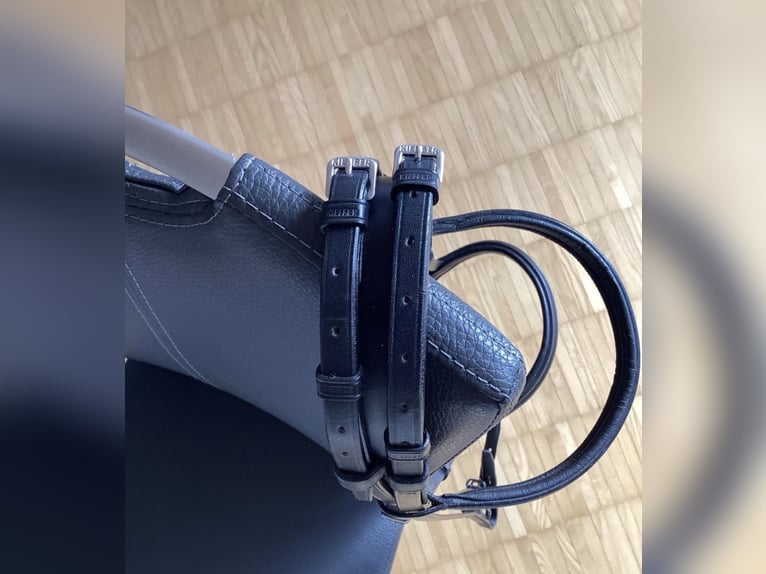 Kandarenzaum, WB, mit Gebissen Kieffer,Sprenger