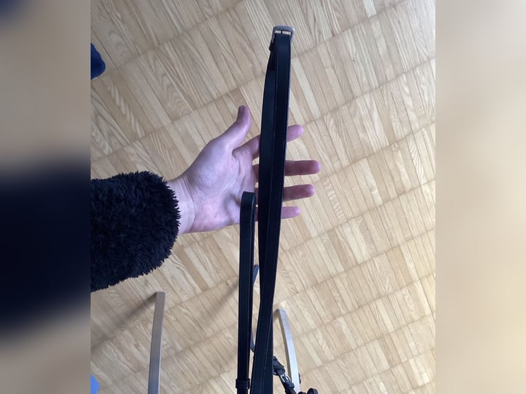 Kandarenzaum, WB, mit Gebissen Kieffer,Sprenger